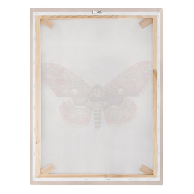 Stampa su tela - Vintage Moth - Verticale 4:3