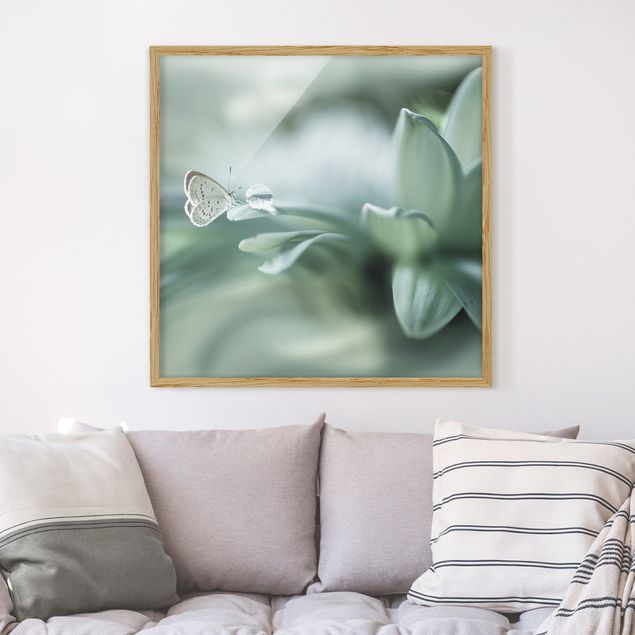 Poster con cornice - Farfalla E Gocce di rugiada In Pastel Verde - Quadrato 1:1