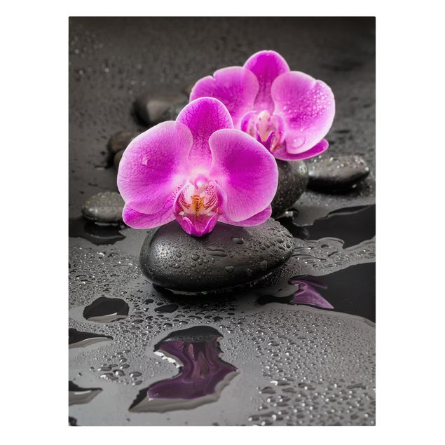 Quadri su tela Fiore di orchidea rosa su pietra con gocce
