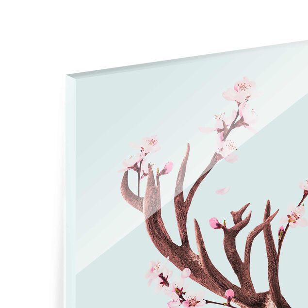 Quadro in vetro - Cervo con Cherry Blossoms - Quadrato 1:1