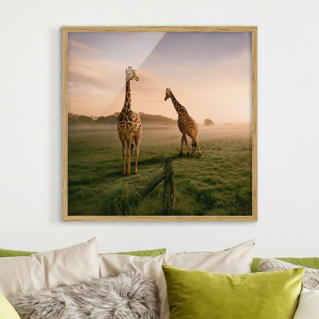 Poster con cornice - Surreal Giraffes - Quadrato 1:1