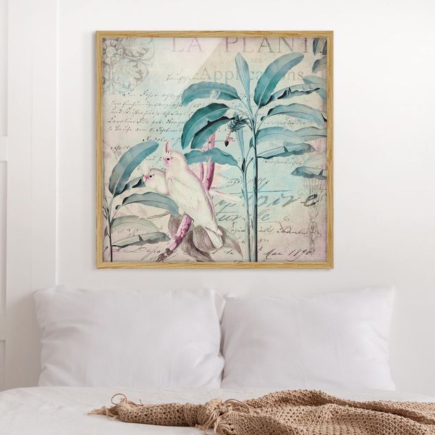 stampe animali Collage in stile coloniale - Cacatua e palme