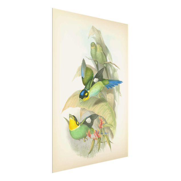 Quadro in vetro - Illustrazione Vintage Uccelli tropicali - Verticale 4:3