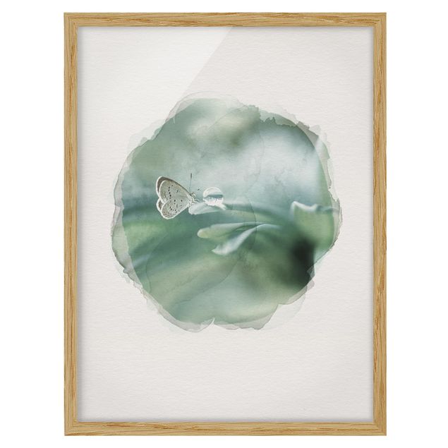 Poster con cornice - Acquarelli - farfalla e gocce di rugiada in verde pastello