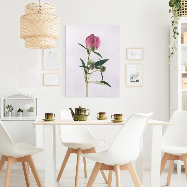 Quadri moderni per soggiorno Peonia rosa su bianco