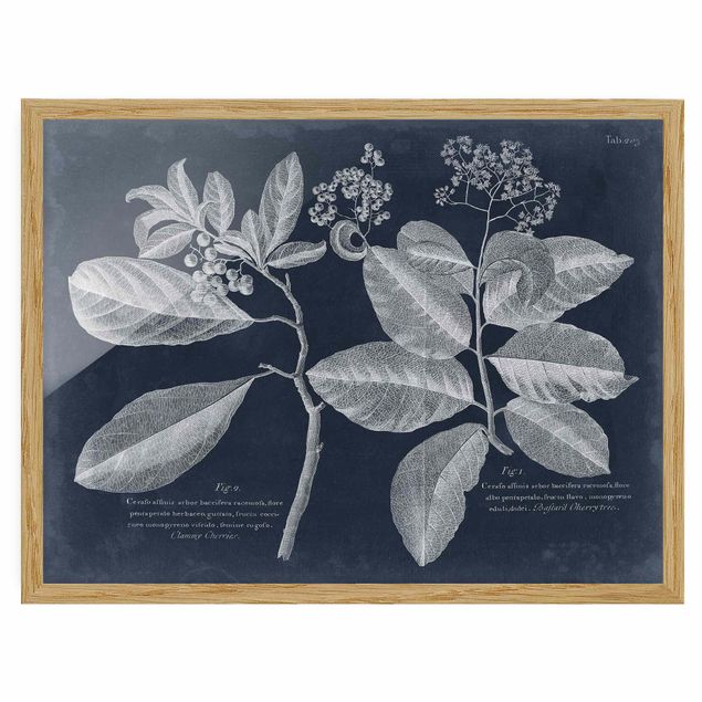 Poster con cornice - Foliage Dark Blue - Kordie Department - Orizzontale 3:4