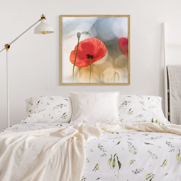 Poster con cornice - Poppies In The Morning - Quadrato 1:1