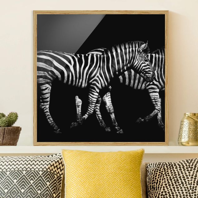 quadri con animali Zebra nel buio