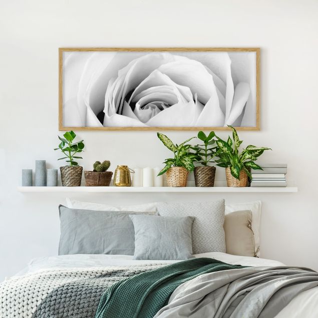 Poster con cornice - Close Up Rose - Panorama formato orizzontale