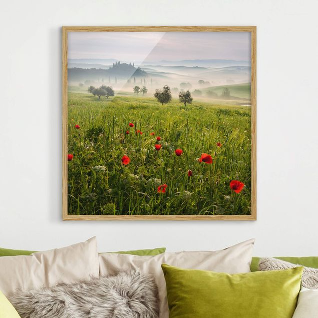 Poster con cornice - Tuscany Spring - Quadrato 1:1