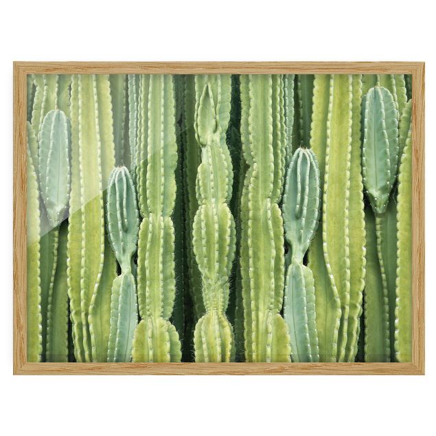 Poster con cornice - Cactus Wall - Orizzontale 3:4