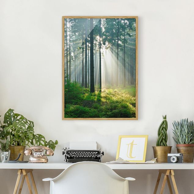 Poster con cornice - Enlightened Forest - Verticale 4:3