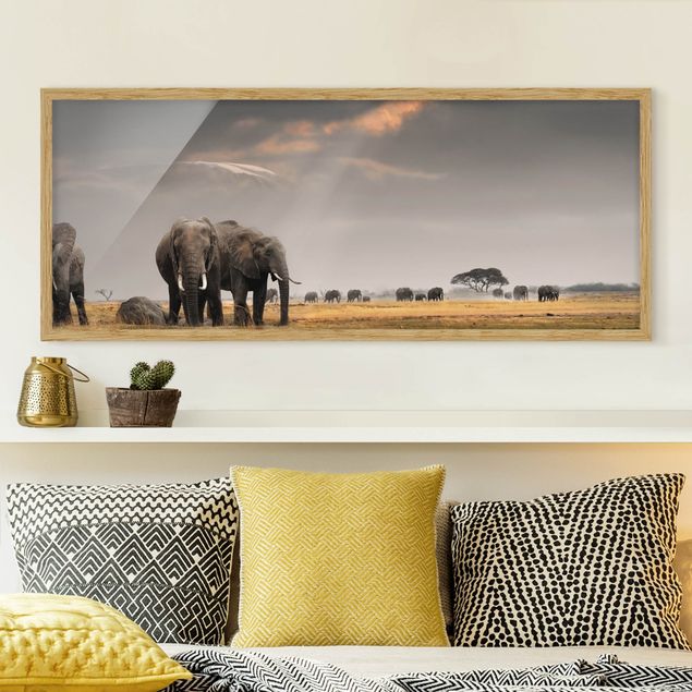 Poster con cornice - Savana Elefante - Panorama formato orizzontale