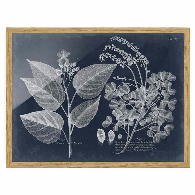 Poster con cornice - Foliage Dark Blue - Annotto - Orizzontale 3:4