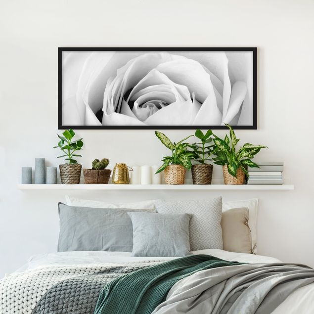Poster con cornice - Close Up Rose - Panorama formato orizzontale