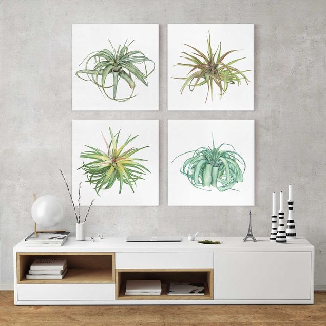 Riproduzione quadri su tela Set acquerello piante aeree I