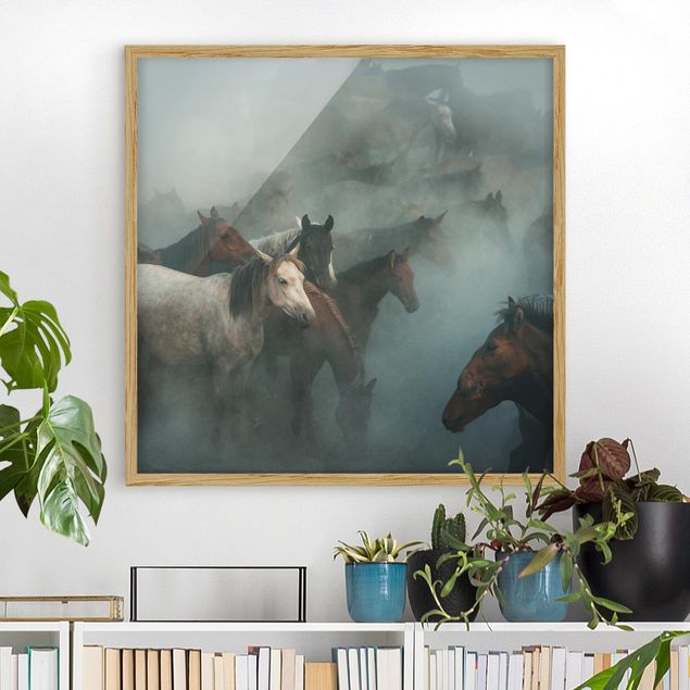 quadri con animali Wild Horses