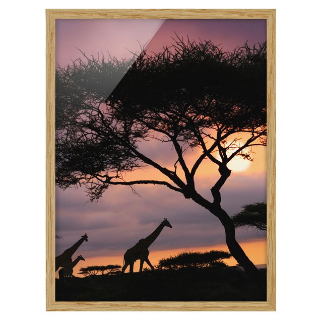 Poster con cornice - safari africano