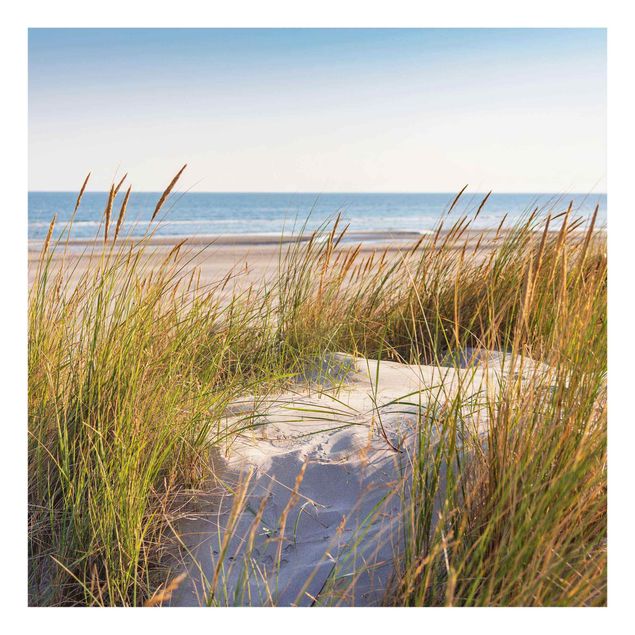 Quadro in vetro - Beach Dune Al Mare - Quadrato 1:1