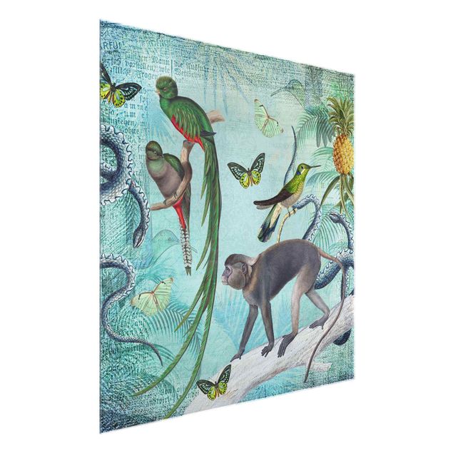 Quadro in vetro - Coloniale Collage - Scimmie e uccelli del paradiso - Quadrato 1:1