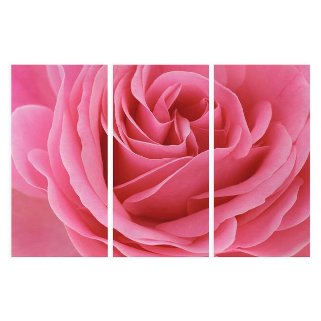 Stampa su tela 3 parti - Lustful Pink Rose - Verticale 2:1