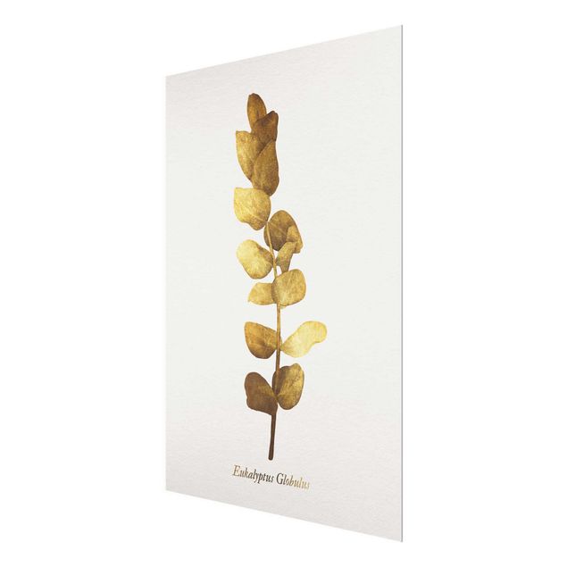 Quadro in vetro - Gold - Eucalyptus - Verticale 4:3