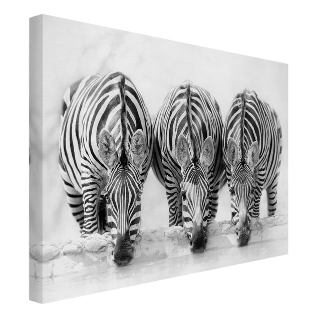 Quadro su tela animali Trio di zebre in bianco e nero