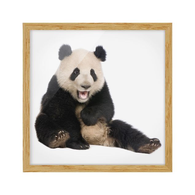 Poster con cornice - ridere Panda