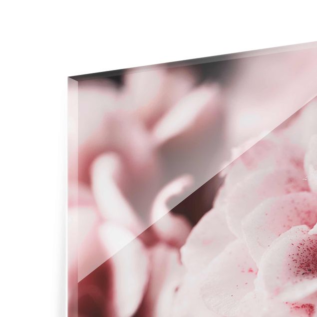 Quadro in vetro - Shabby Pink Rose pastello - Orizzontale 3:4