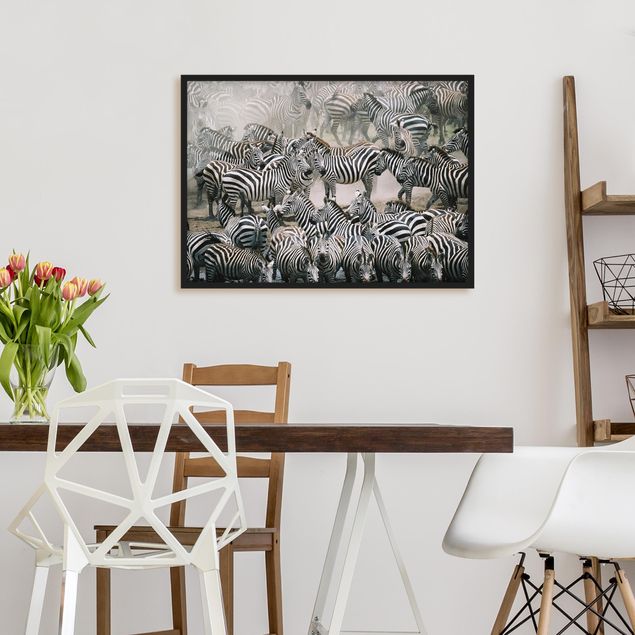 quadri con animali Branco di zebre