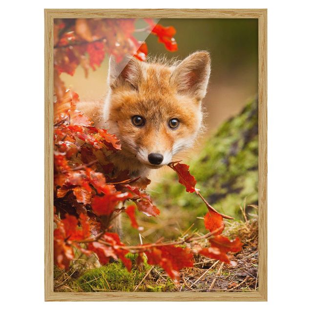 Poster con cornice Fox In The Fall verticale su