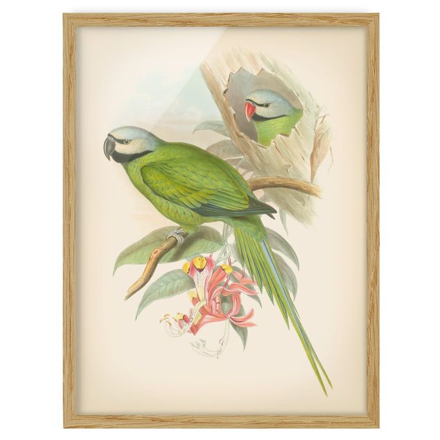 Poster con cornice - Illustrazione Vintage Tropical Birds II - Verticale 4:3