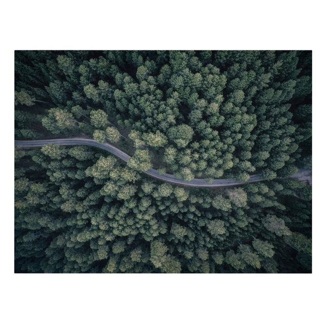 Stampa su tela - Veduta aerea - Forest Road From The Top - Orizzontale 4:3