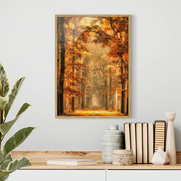 Poster con cornice - Enchanted Forest In Autumn - Verticale 4:3