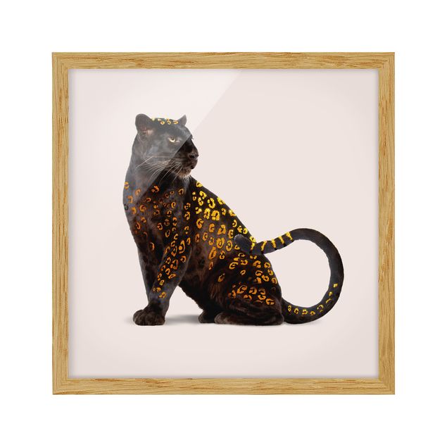 Poster con cornice - Panthers d'oro - Quadrato 1:1
