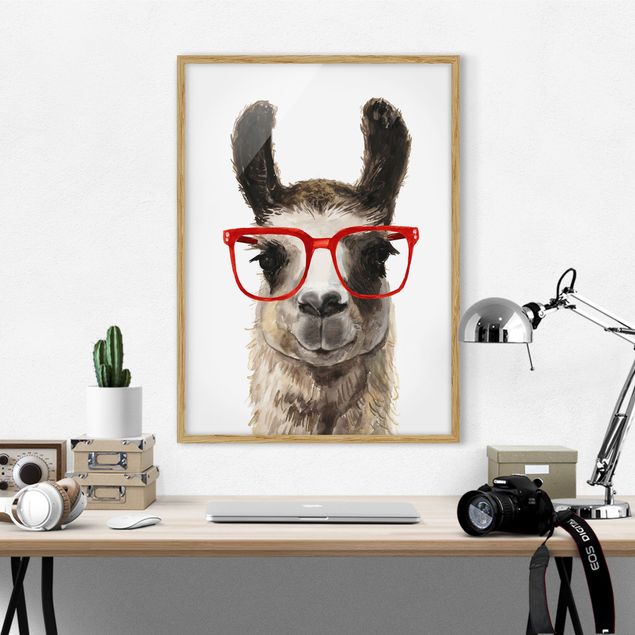 quadri con animali Hip Lama con occhiali II