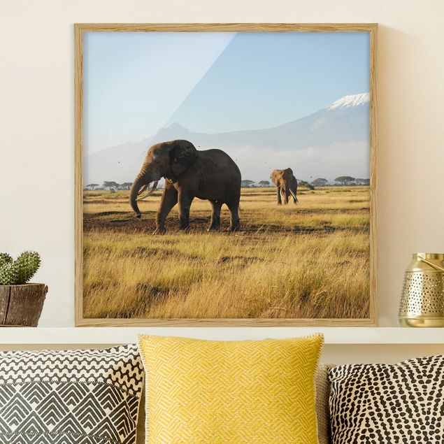stampe animali Elefanti di fronte al Kilimangiaro in Kenya