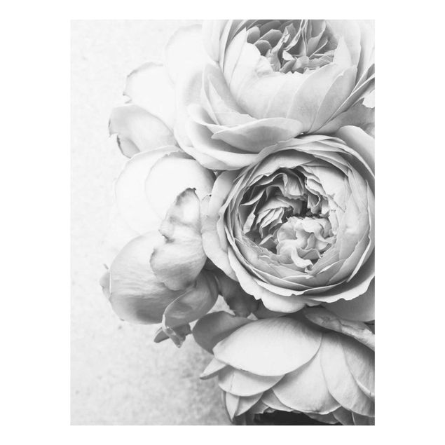 Quadro in vetro - Peony fiori bianchi e nero - Verticale 4:3