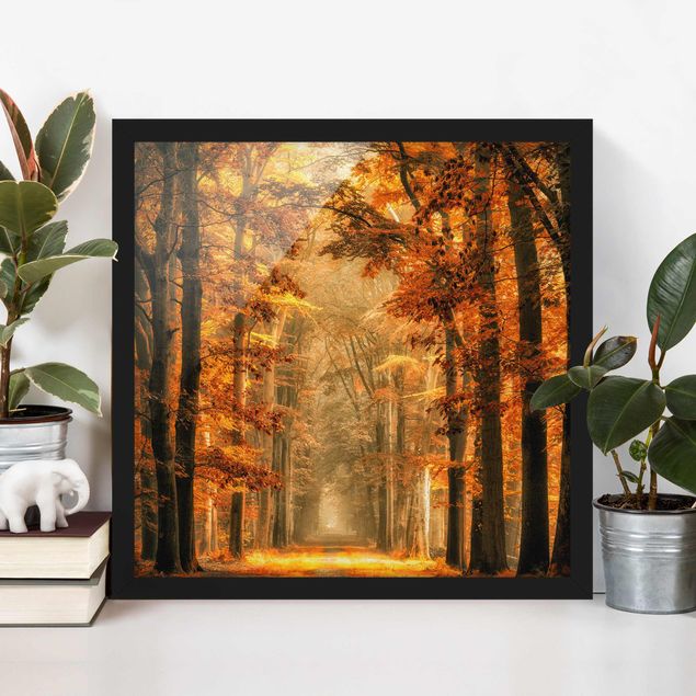 Poster con cornice - Enchanted Forest In Autumn - Quadrato 1:1