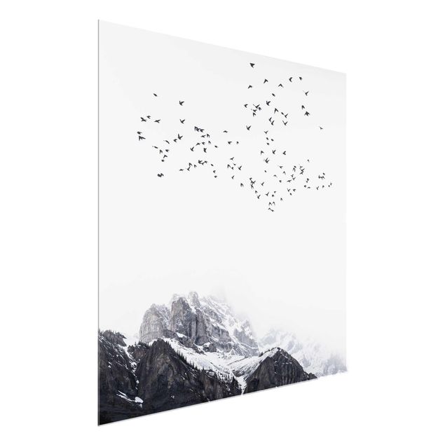 Quadro in vetro - Stormo di uccelli davanti a montagne bianco e nero - Quadrato 1:1