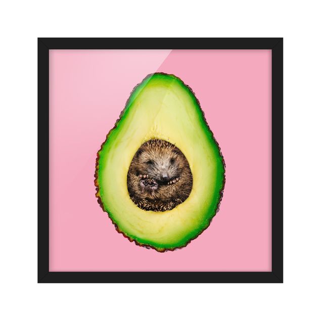 Poster con cornice - Avocado Con Hedgehog - Quadrato 1:1
