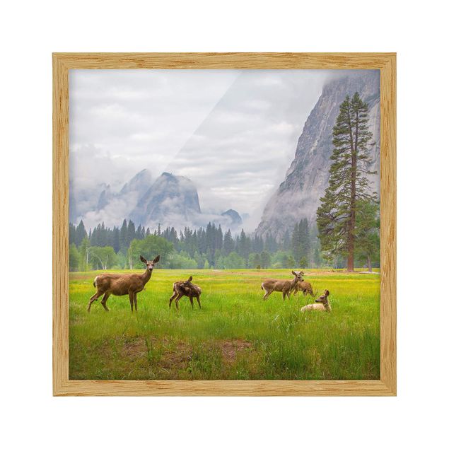 Poster con cornice - Deer In The Mountains - Quadrato 1:1