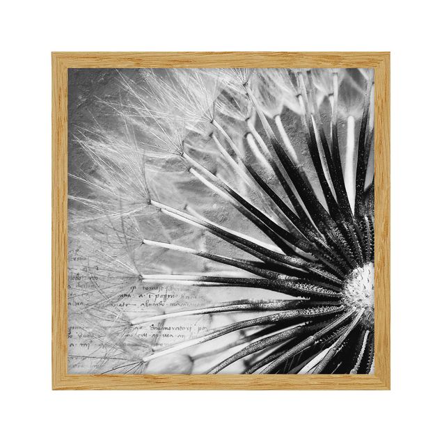 Poster con cornice - Dandelion Black & White - Quadrato 1:1