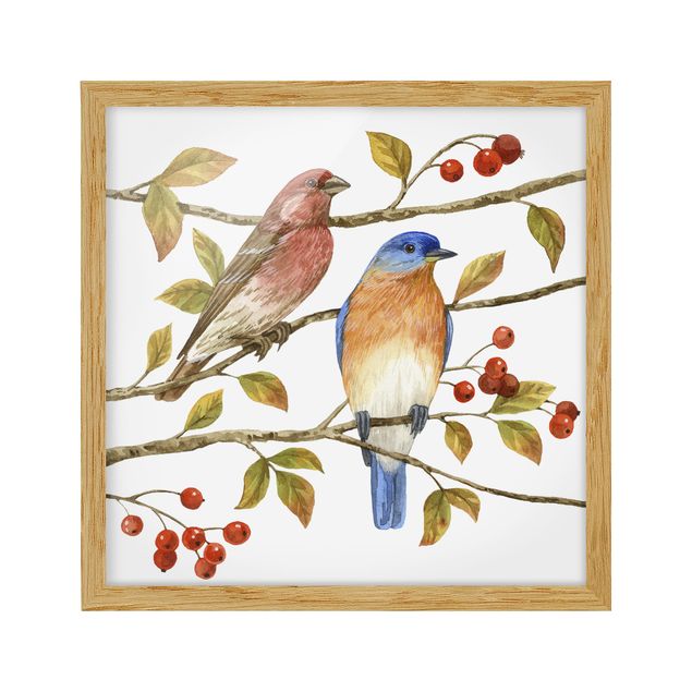 Poster con cornice - Birds And Berries - Bluebird - Quadrato 1:1