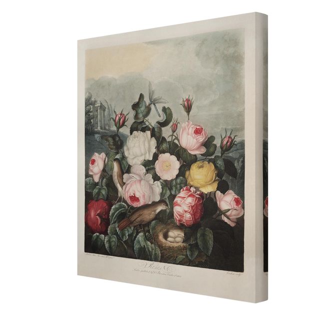 Stampa su tela - Botanica Vintage Illustrazione di rose - Verticale 4:3