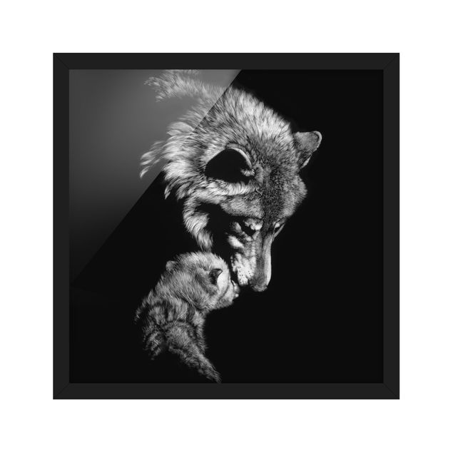 Poster con cornice - Wolf In The Dark - Quadrato 1:1