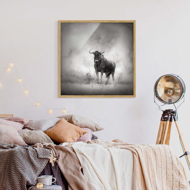 Poster con cornice - Staring Wildebeest - Quadrato 1:1