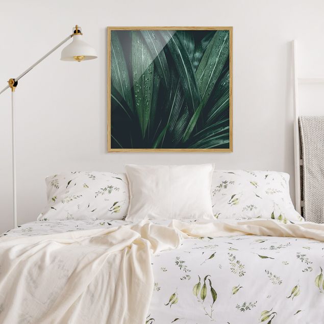 Poster con cornice - Green Palm Leaves - Quadrato 1:1