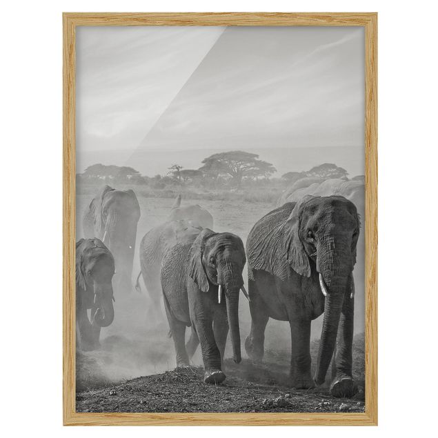 Poster con cornice - Herd Of Elephants - Verticale 4:3