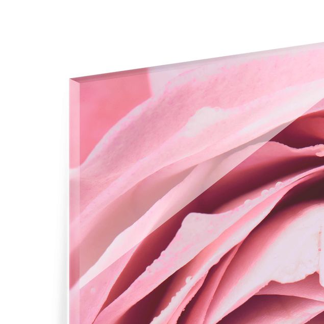 Quadro in vetro - Pink Rose Blossom - Verticale 3:2